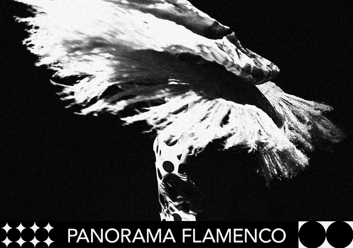 Lidia Reyes - Pájaro de fuego