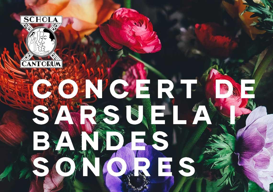 Concert de sarsuela i bandes sonores